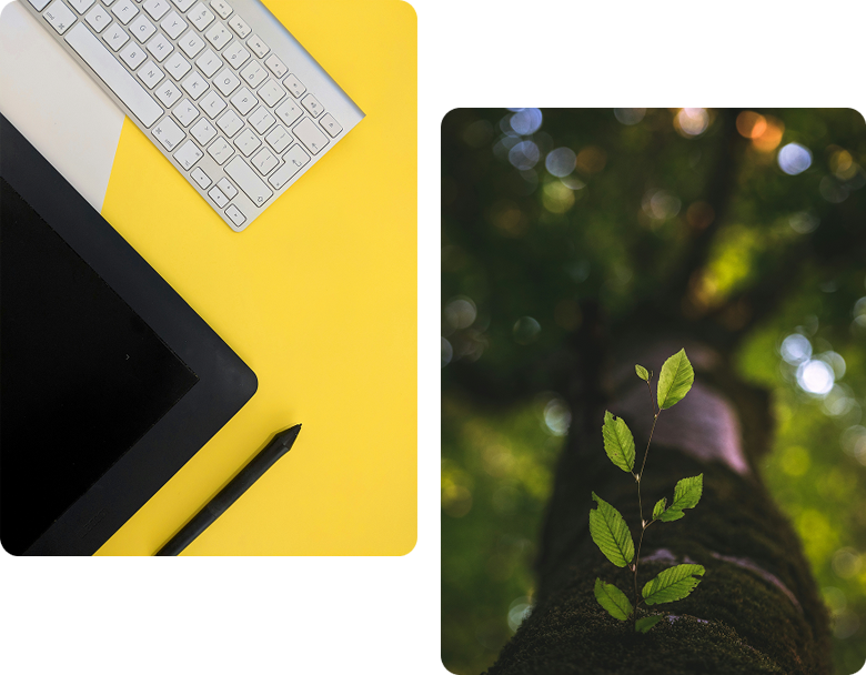 web design services for small business